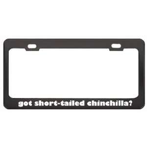 Got Short Tailed Chinchilla? Animals Pets Black Metal License Plate 