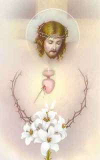 Handmade Chaplet of the Most Precious Blood  
