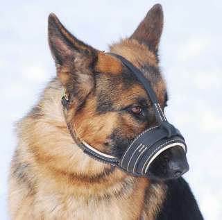 The Royal Soft Leather Dog Muzzle by Dean and Tyler  
