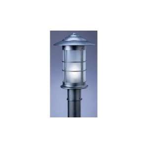   Newport 1 Light Outdoor Post Lamp in Raw Copper with Clear Seedy glass