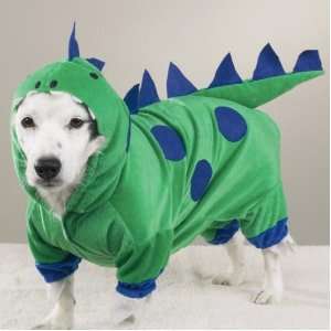  Halloween Dinosaur Costume   MEDIUM