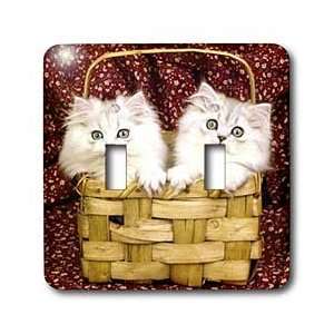 Cats   Kittens in the basket   Light Switch Covers   double toggle 