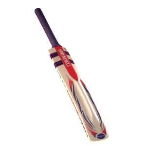 GN Phoenix Titanium Cricket Bat, Long Handle  Sports 