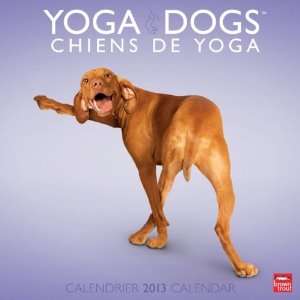  Chiens De Yoga 2013 Wall Calendar 12 X 12 Office 