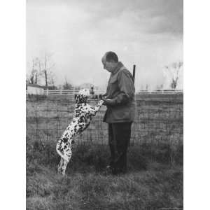 Adlai E. Stevenson on His Farm with Pet Dalmatian Artie Photographic 