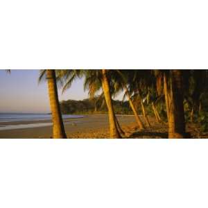   Beach, Guanacaste Province, Costa Rica by Panoramic Images , 20x60