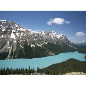 Peyto Lake, Coloured by Glacial Silt, Banff Jasper National Parks 