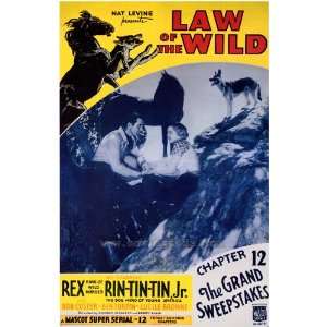   Wild Poster Movie 27x40 Rex Rin Tin Tin Jr. Ben Turpin