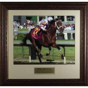  Big Brown   Unsigned & Framed   Photograph Display Sports 