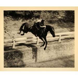   Poland Equestrian Rider Leni Riefenstahl   Original Photogravure