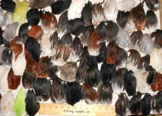   462   75 Pc Rooster & Hen Fly Tying Chicken Feathers Materials  