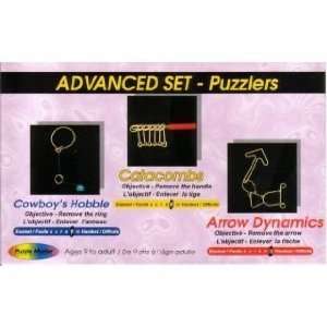  Metal Disentanglement Puzzles Advanced Set Toys & Games