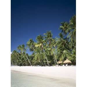 Boracay Beach, Palm Trees and Sand, Boracay Island, Philippines 