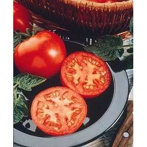  Tomato Husky   Hybrid Great Garden Vegetable 30 Seeds 
