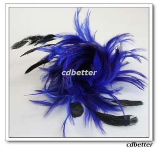 Chic Blue Feather Brooch Pin Hair Clip Headdress manual  