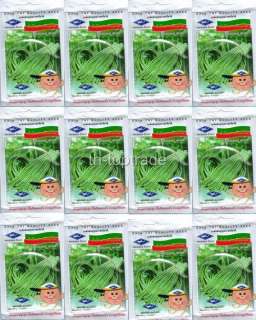 12 PACK OF  YARD LONG BEAN  SEEDS PRODUCT OF THAILAN  