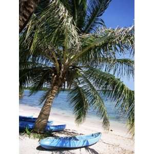  Beach with Palm Tree and Kayak, Punta Soliman, Mayan 