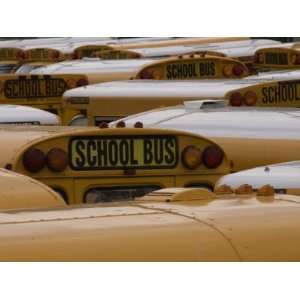 com Close Up of Tops of School Buses in a Parking Lot, Brooklyn, New 