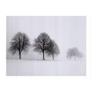  Winter Trees II by Ilona Wellmann 28x20