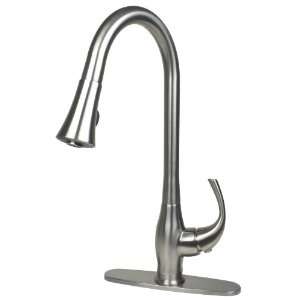   Stainless Steel Kitchen Faucet with Pull Down Spout