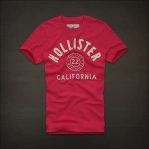 HOLLISTER BY ABERCROMBIE HCO LOGO T SHIRT MENS MUSCLE FIT FIRST POINT 
