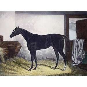  Hermit Etching , Horse Racing Steeple Chasing Engraving 
