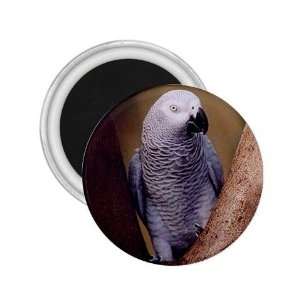  African Grey Parrot Refrigerator Magnet