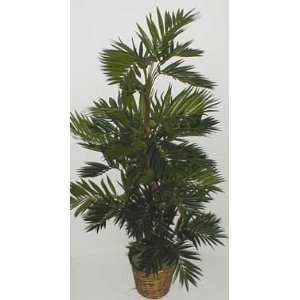  55 Silk Parlour Palm Tree