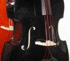 UPRIGHT BLACK BASS FIDDLE + HOT Weedwacker Strings  