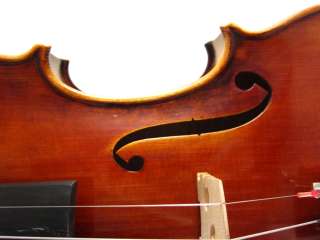 AUSTRIAN SPRUCE Wilhelmj Warm Tone Violin #1674 PRO+  
