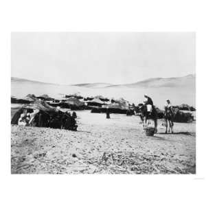  Egyptian Camp with Tents and Camels Photograph   Egypt 