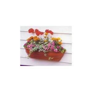   Watering 27 Inch Wall Planters in Terracotta Patio, Lawn & Garden